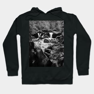 Swiss Falls-monochrome Hoodie